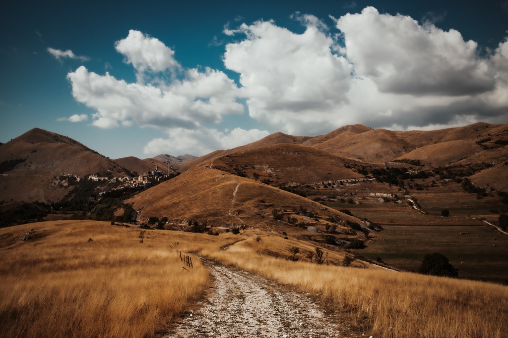 Welcome - This is inside the Shepherd's head!